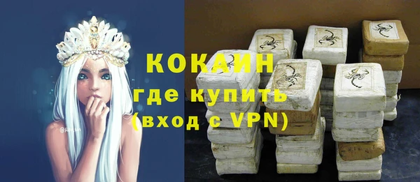прущие грибы Кодинск