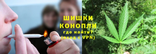 прущие грибы Кодинск