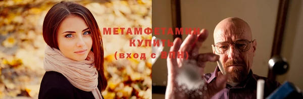 прущие грибы Кодинск
