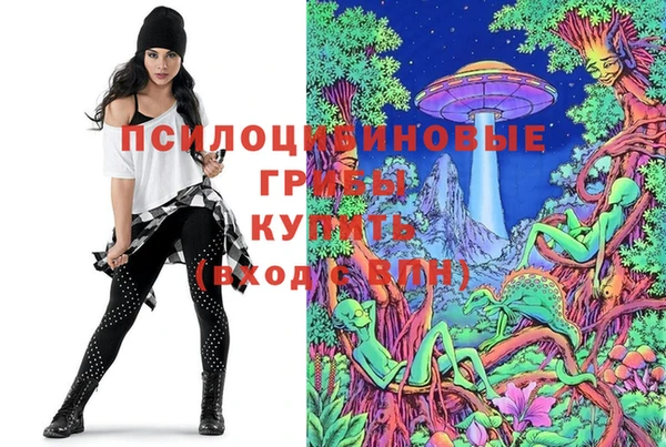 герыч Козловка