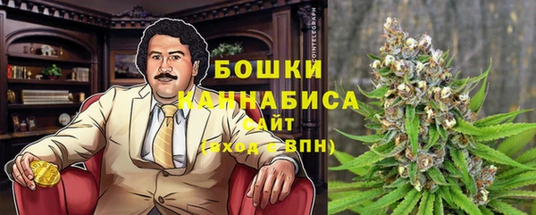 прущие грибы Кодинск