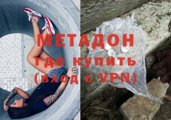 прущие грибы Кодинск