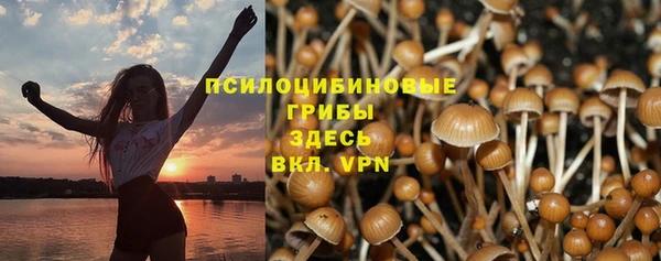 прущие грибы Кодинск
