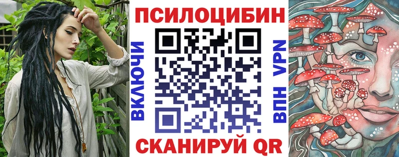 Псилоцибиновые грибы MAGIC MUSHROOMS  где можно купить   Чулым 